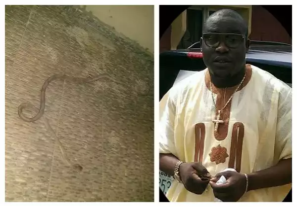 Strange!! Man Finds Snake In Lagos Hotel [See Photos]